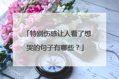 特别伤感让人看了想哭的句子有哪些？