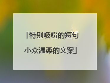 特别吸粉的短句 小众温柔的文案