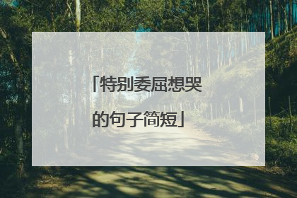 特别委屈想哭的句子简短