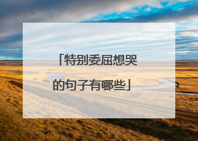 特别委屈想哭的句子有哪些