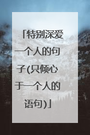 特别深爱一个人的句子(只倾心于一个人的语句)