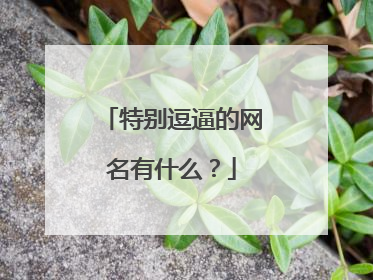 特别逗逼的网名有什么？