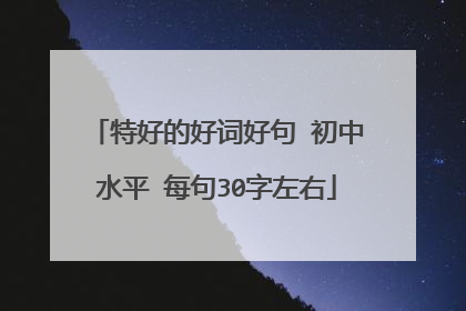 特好的好词好句 初中水平 每句30字左右