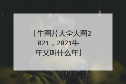 牛图片大全大图2021，2021牛年又叫什么年