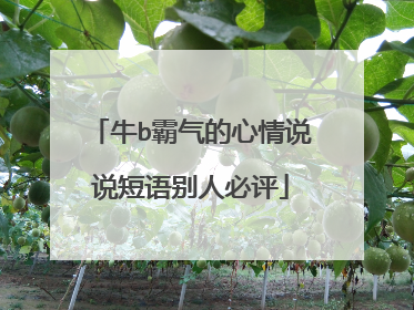 牛b霸气的心情说说短语别人必评