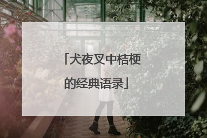 犬夜叉中桔梗的经典语录