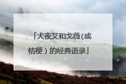 犬夜叉和戈薇(或桔梗）的经典语录
