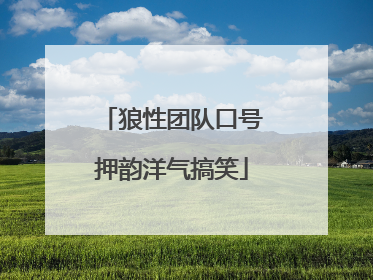 狼性团队口号押韵洋气搞笑