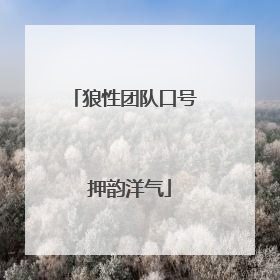 狼性团队口号 押韵洋气