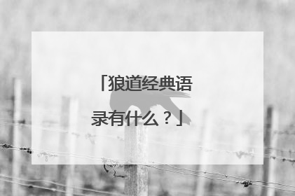狼道经典语录有什么？