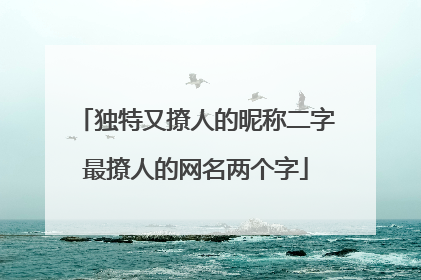 独特又撩人的昵称二字最撩人的网名两个字