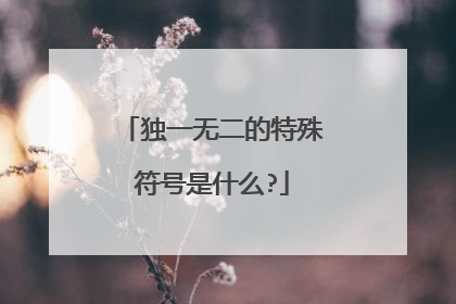 独一无二的特殊符号是什么?