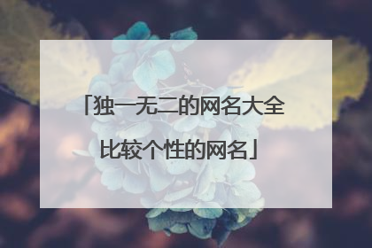 独一无二的网名大全 比较个性的网名