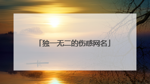 独一无二的伤感网名