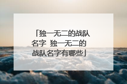 獨一無二隊名和口號(獨一無二隊名和口號霸氣)_詞語造句