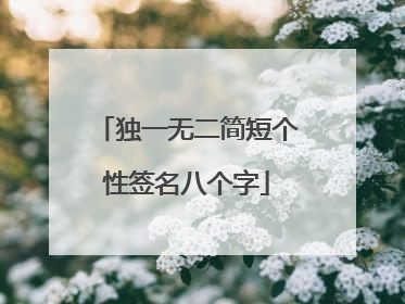 独一无二简短个性签名八个字