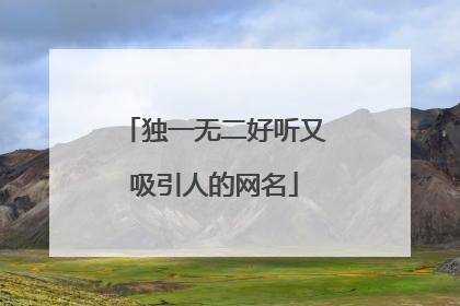 独一无二好听又吸引人的网名