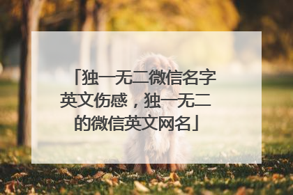独一无二微信名字英文伤感，独一无二的微信英文网名