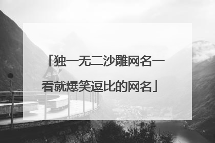 独一无二沙雕网名一看就爆笑逗比的网名