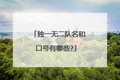 独一无二队名和口号有哪些?