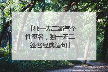 独一无二霸气个性签名，独一无二签名经典语句