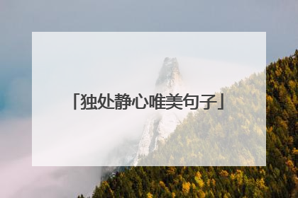 独处静心唯美句子