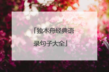 独木舟经典语录句子大全