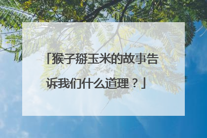 猴子掰玉米的故事告诉我们什么道理？