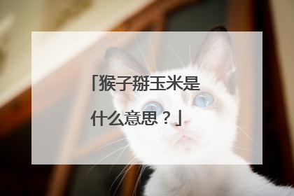 猴子掰玉米是什么意思？