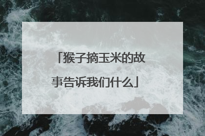 猴子摘玉米的故事告诉我们什么