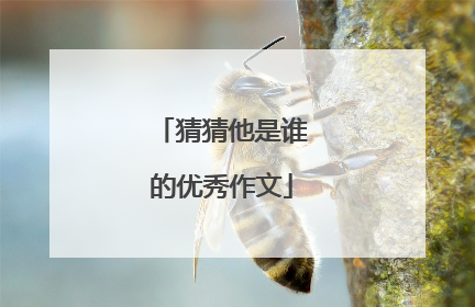 猜猜他是谁的优秀作文