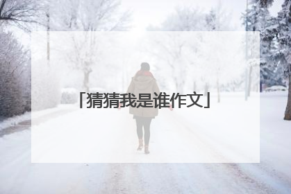 猜猜我是谁作文