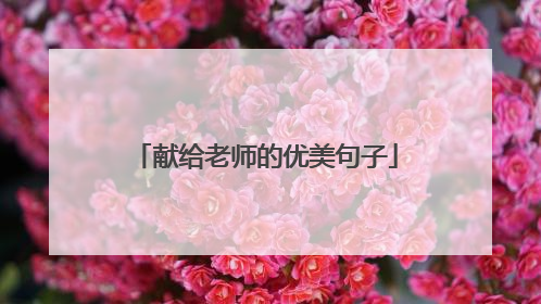 献给老师的优美句子