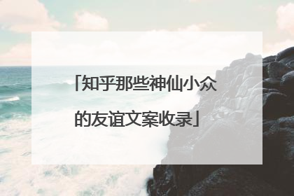 知乎那些神仙小众的友谊文案收录