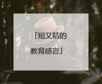 短又精的教育感言