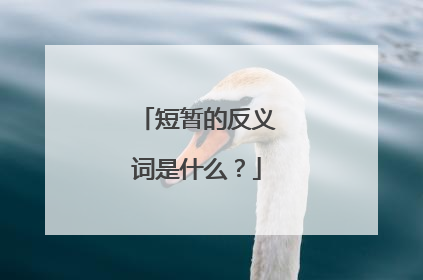 短暂的反义词是什么？