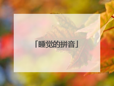 睡觉的拼音