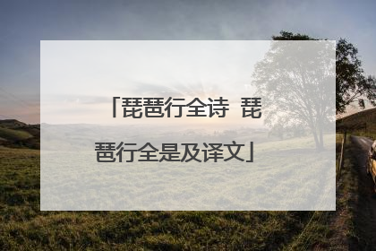 琵琶行全诗 琵琶行全是及译文