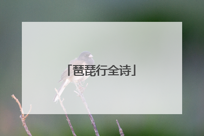 琶琵行全诗