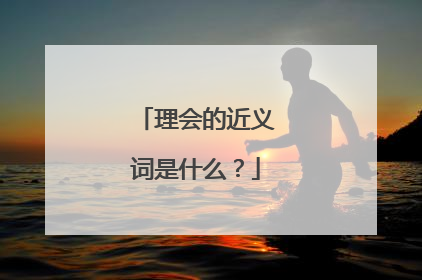 理会的近义词是什么?