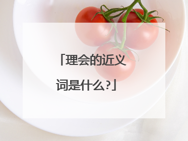 理会的近义词是什么?