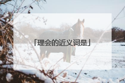 理会的近义词是