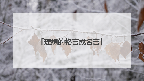 理想的格言或名言