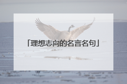 理想志向的名言名句