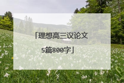 理想高三议论文5篇800字