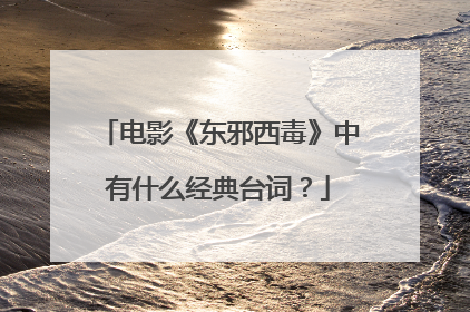 电影《东邪西毒》中有什么经典台词？
