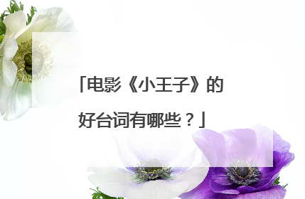 电影《小王子》的好台词有哪些？