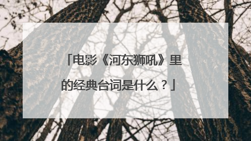 电影《河东狮吼》里的经典台词是什么？