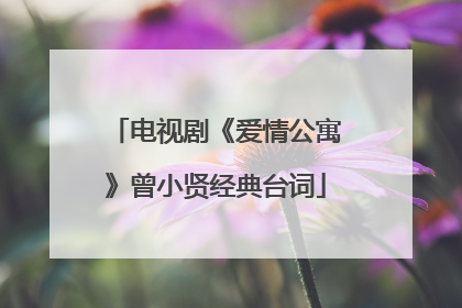 电视剧《爱情公寓》曾小贤经典台词