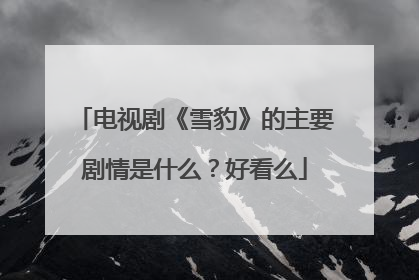 电视剧《雪豹》的主要剧情是什么？好看么